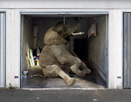 Garage Door Elephant