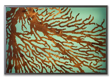 Sea Fan Lightbox